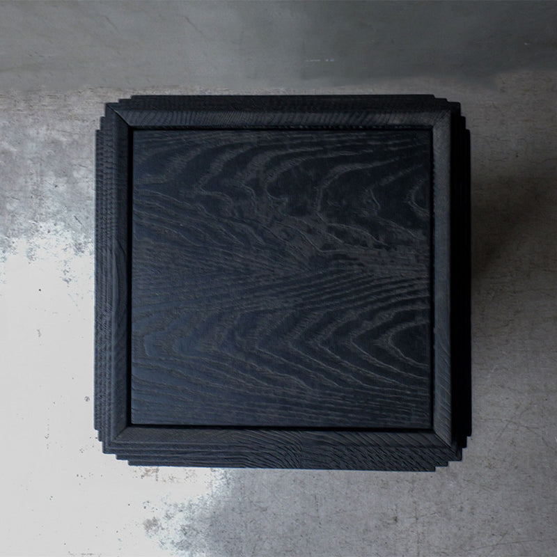 Fuyou Brion Table S