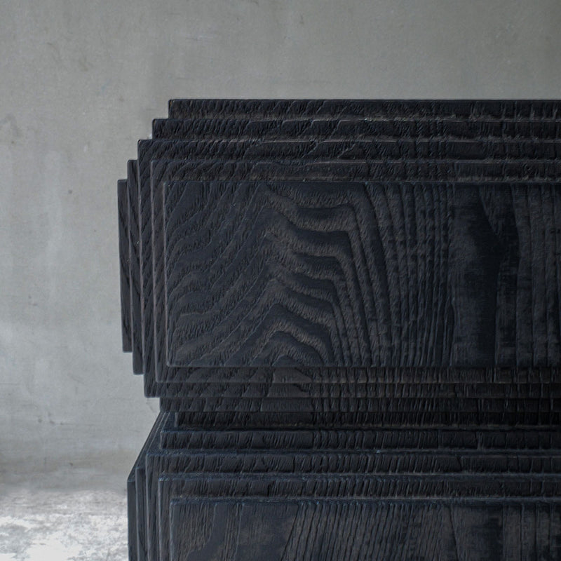 Fuyou Brion Table S