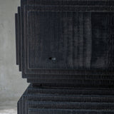 Fuyou Brion Table S