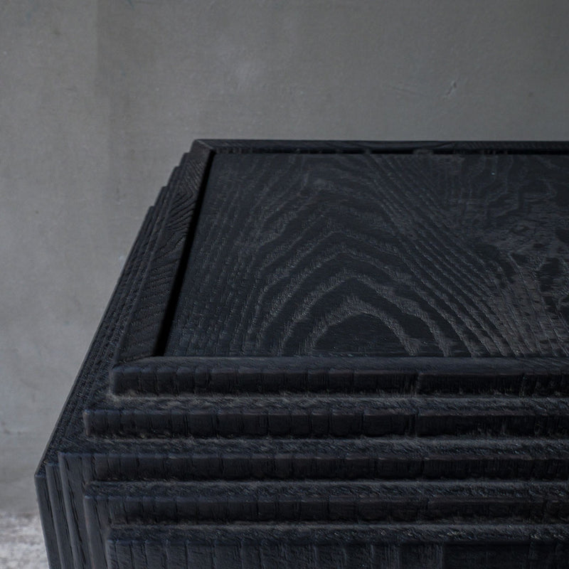 Fuyou Brion Table S