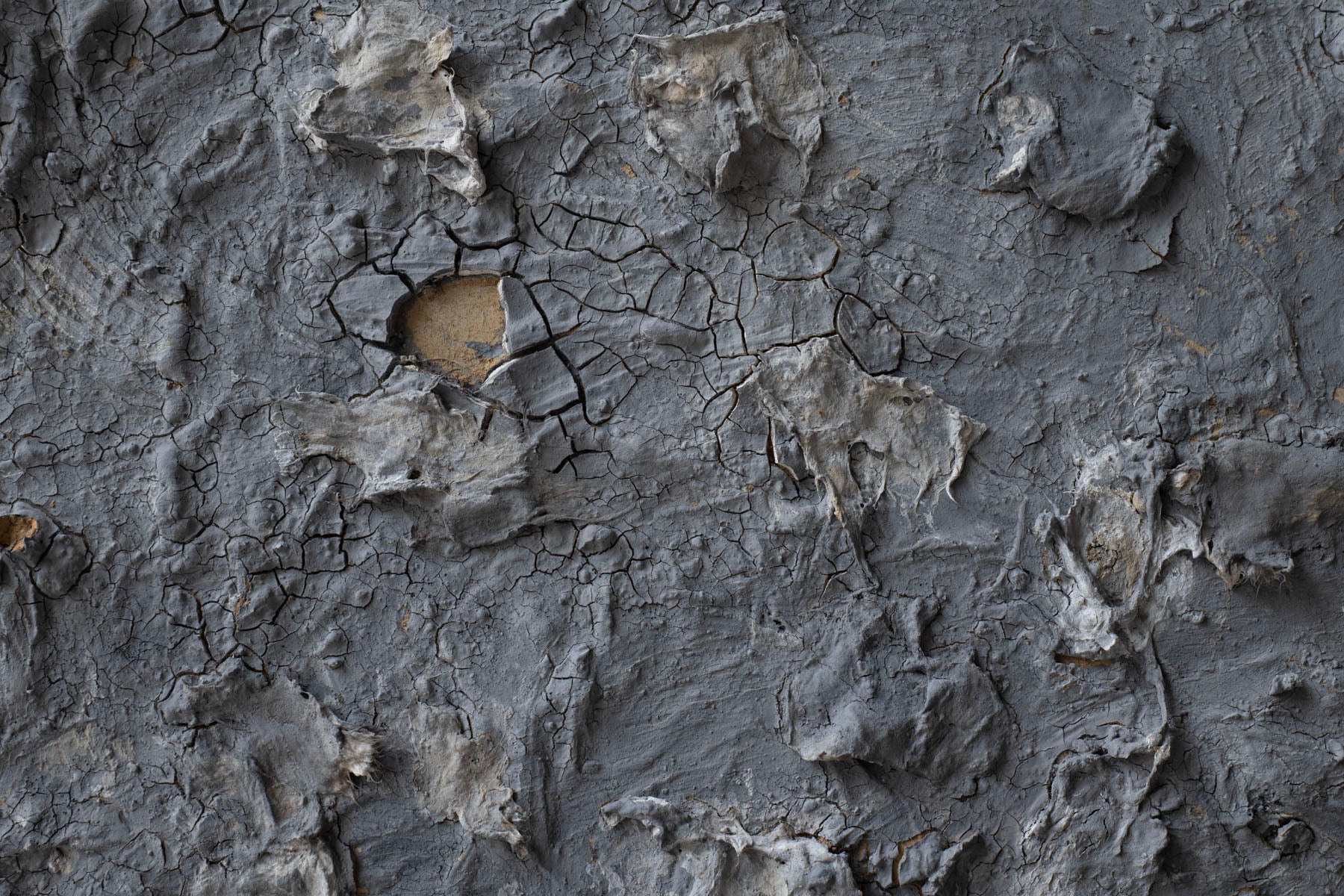 Wataru Hatano "The accumulation of time" size 30 39299896