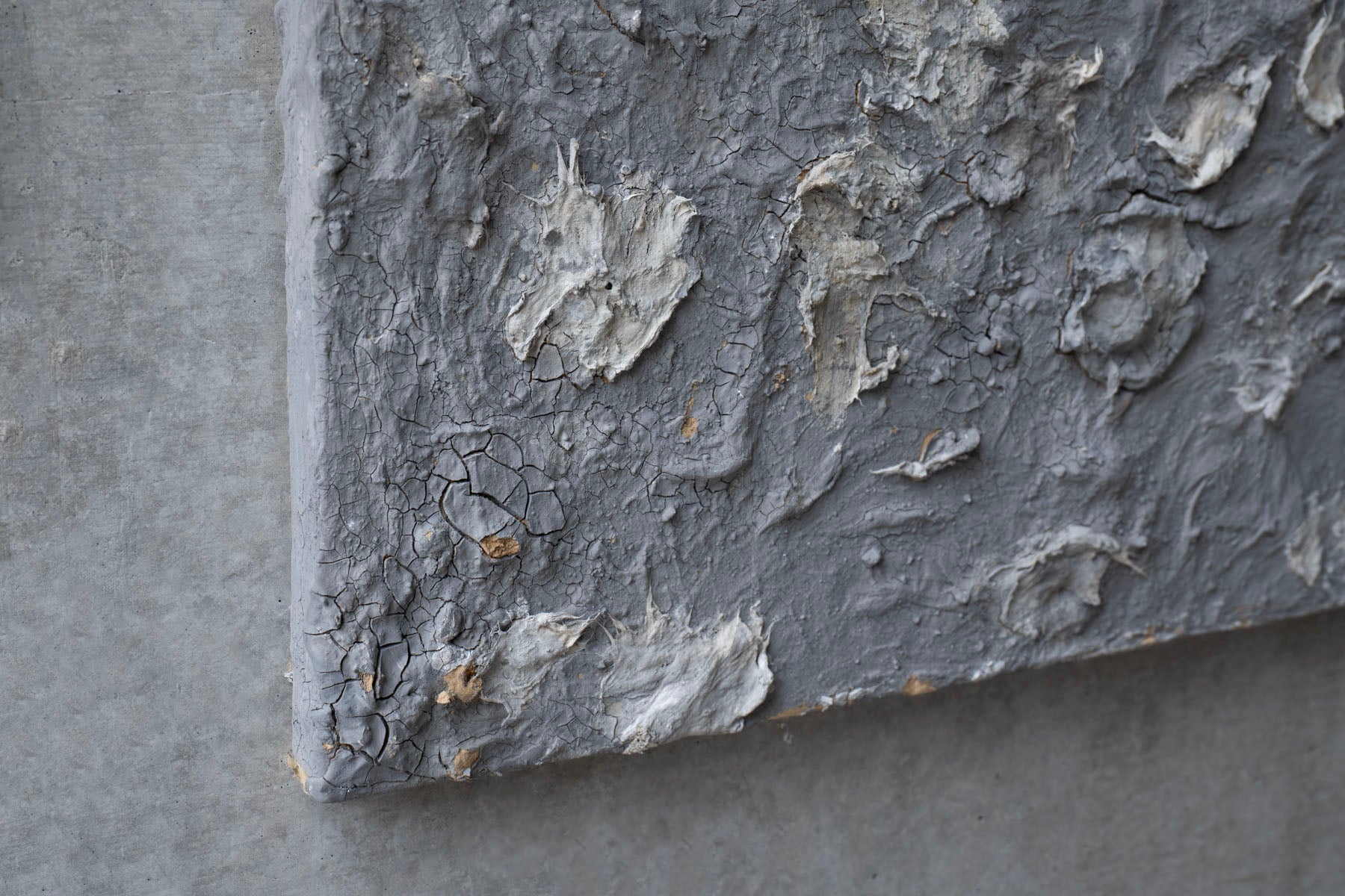 Wataru Hatano "The accumulation of time" size 30 39299896