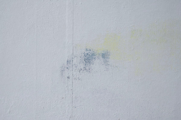 Wataru Hatano "A view from the window" size 30 44434395