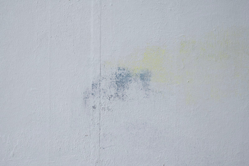 Wataru Hatano "A view from the window" size 30 44434395