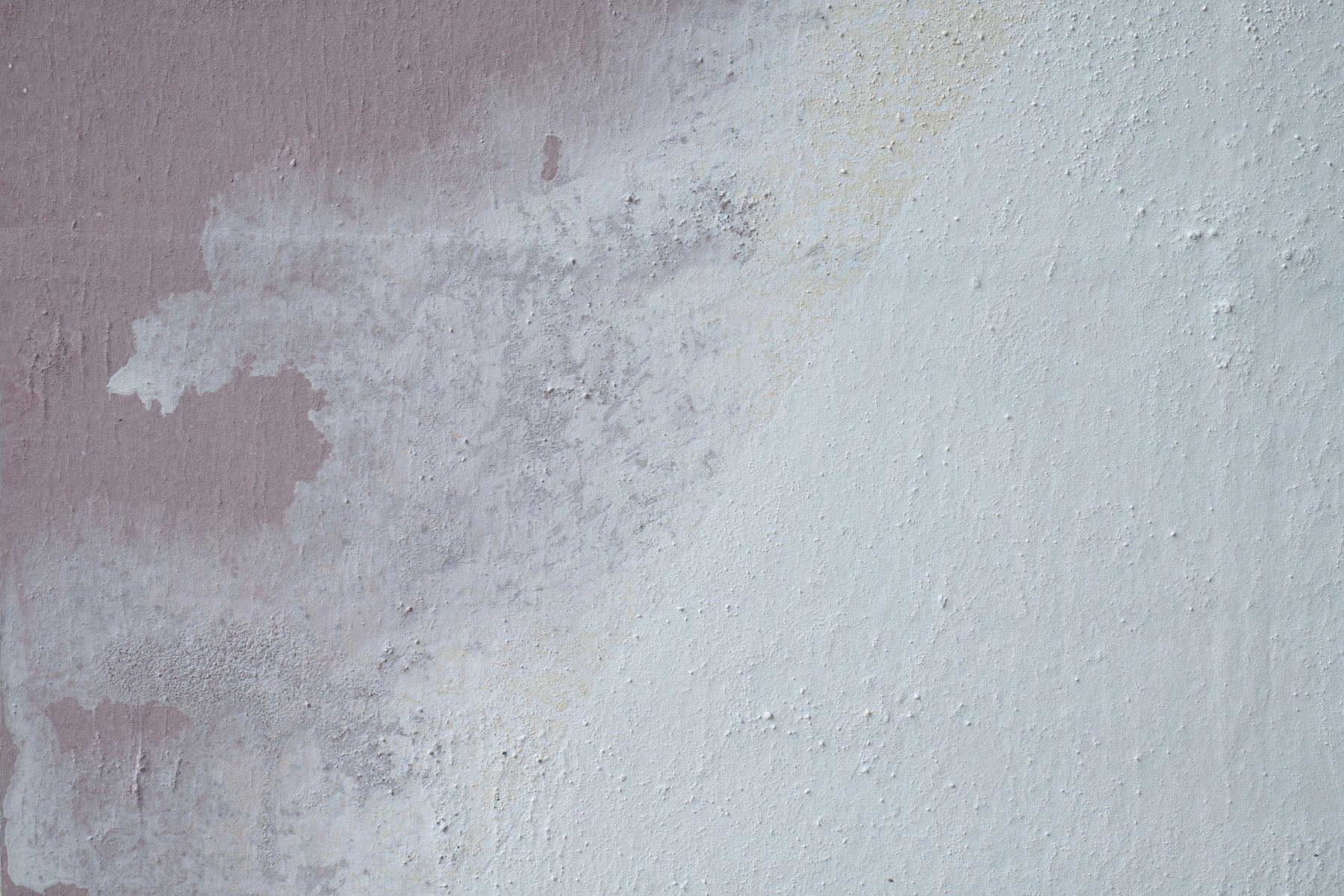 ハタノワタル 領域25号 53050649