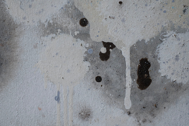 Wataru Hatano "A view from the window" size 12 53707463