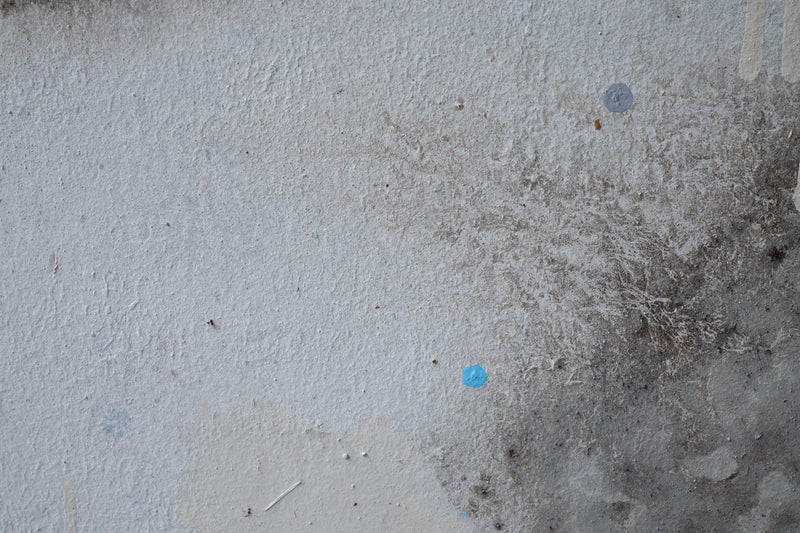 Wataru Hatano "A view from the window" size 12 53707463