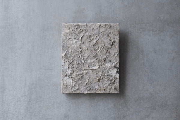 Wataru Hatano "The accumulation of time" size 10 TC-22