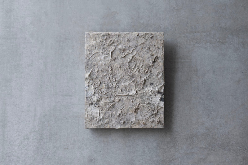 Wataru Hatano "The accumulation of time" size 10 TC-22