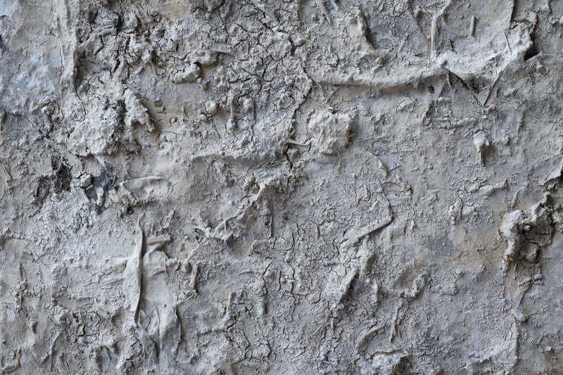 Wataru Hatano "The accumulation of time" size 10 TC-22