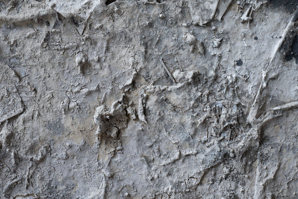 Wataru Hatano "The accumulation of time" size 10 TC-22