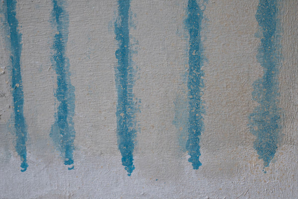 Wataru Hatano "A view from the window" size 10 ELAHVC