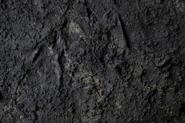 ハタノワタル 積み重なったもの10号 (55634480)