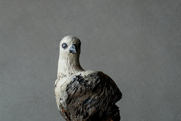 水田典寿 / Norihisa Mizuta – 雨晴/AMAHARE