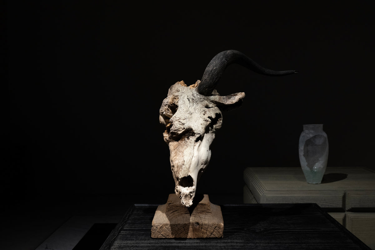 水田典寿 / Norihisa Mizuta – 雨晴/AMAHARE