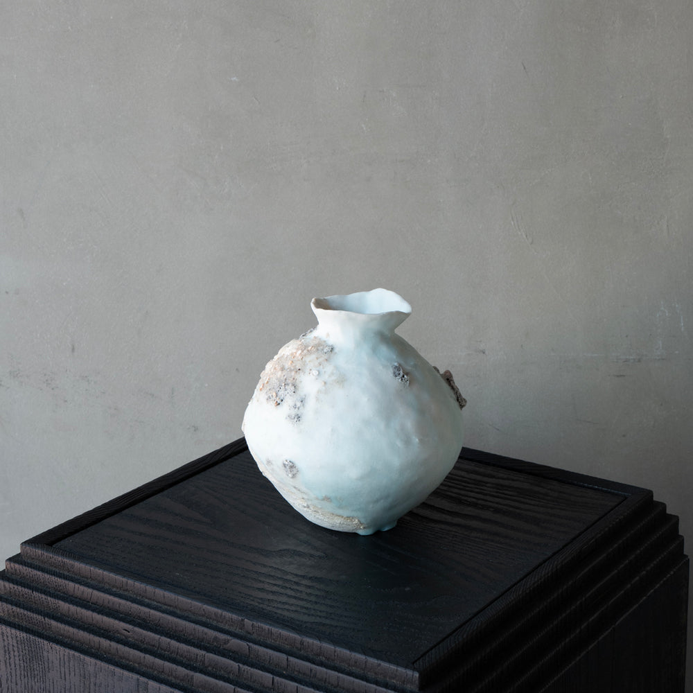 P1023160_1000x.jpg?v=1766554286