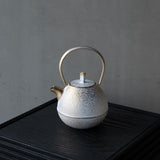 25-10S 空間鋳造 急須 Egg 中 白金色 鎬細工鉉 桐箱入