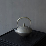 25-10S 空間鋳造 急須 A-Daiya Greige