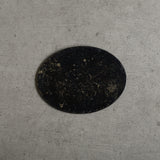 ハタノワタル オーバル・ 小・特 S