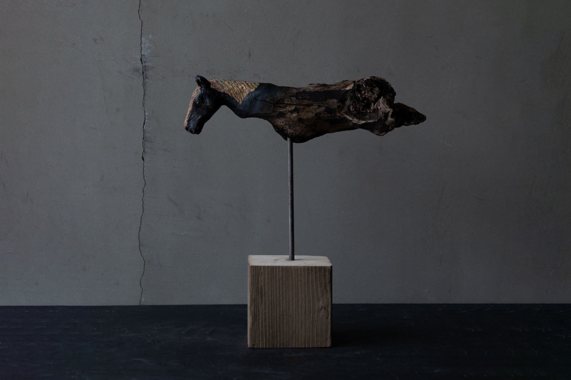 水田典寿 / Norihisa Mizuta
