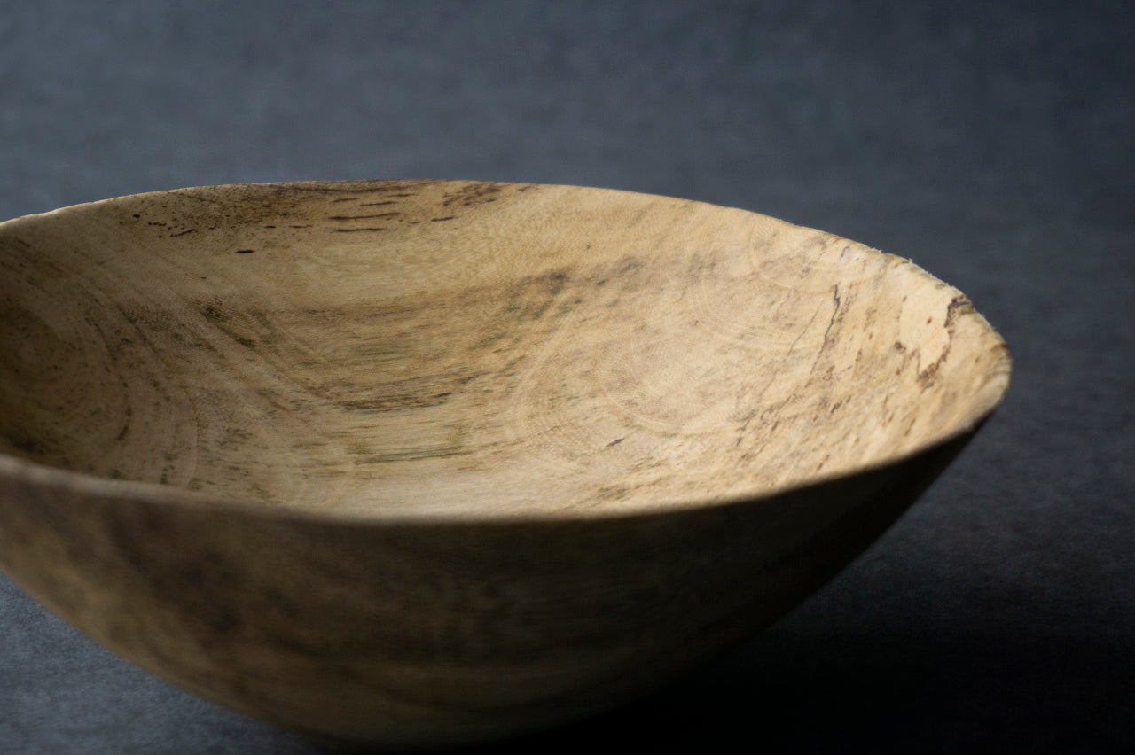 ●22-KF54 エノキ