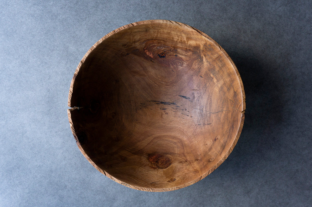 ○22-KF195 ホルトノキ 鉢 – 雨晴/AMAHARE