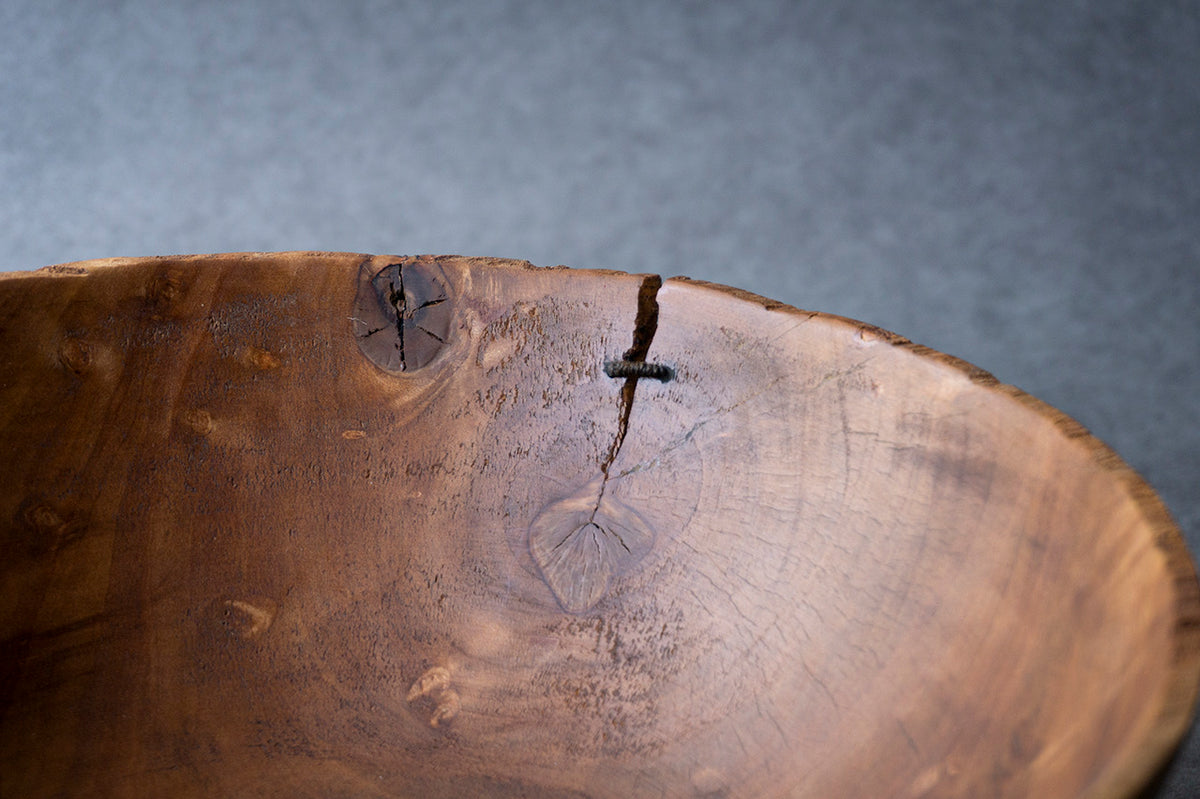 i_rord55専用　親木　鉢抜き i_rord55専用 親木 鉢抜き