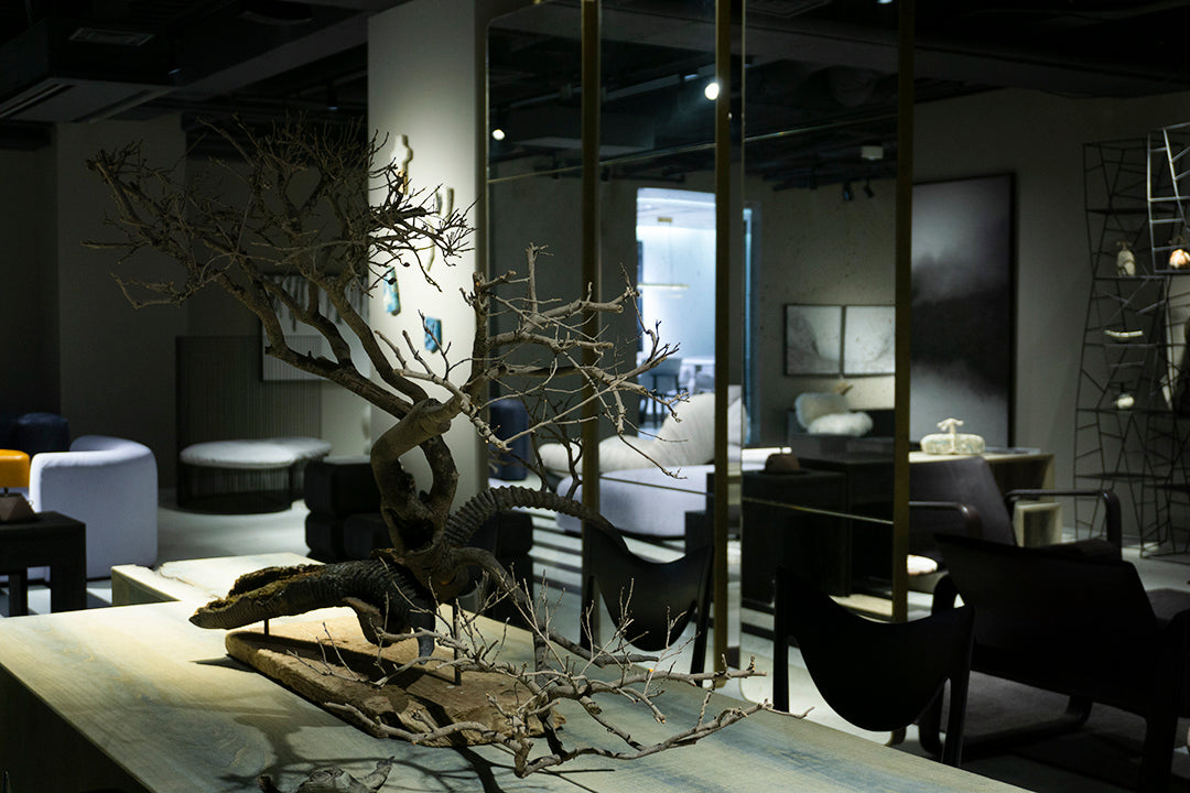 Norihisa Mizuta / Horn L