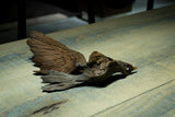 Norihisa Mizuta / Bird's Remains  L