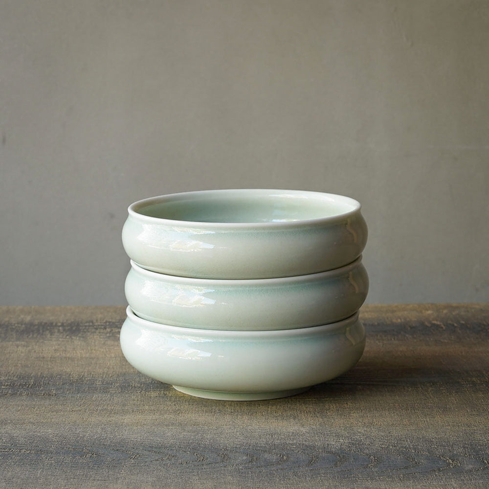 DSC00220_1000x.jpg?v=1751940308