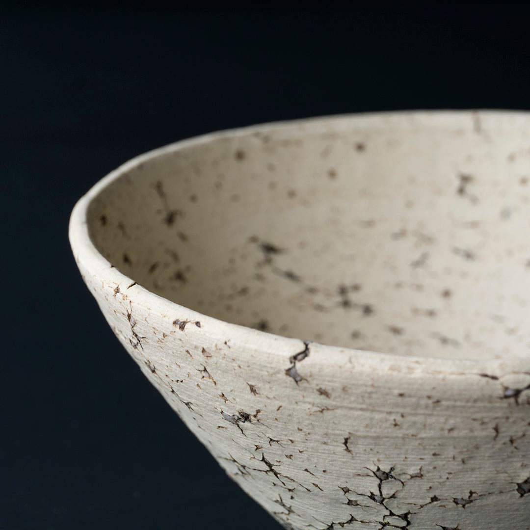 Gaku Nakane　21cm Bowl