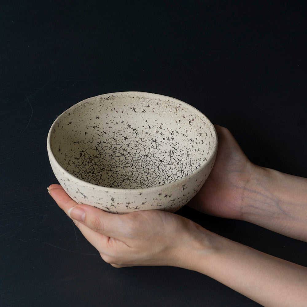 GAKU ceramics âge 平鉢　Φ215 GAKU ceramics âge 平鉢 Φ215