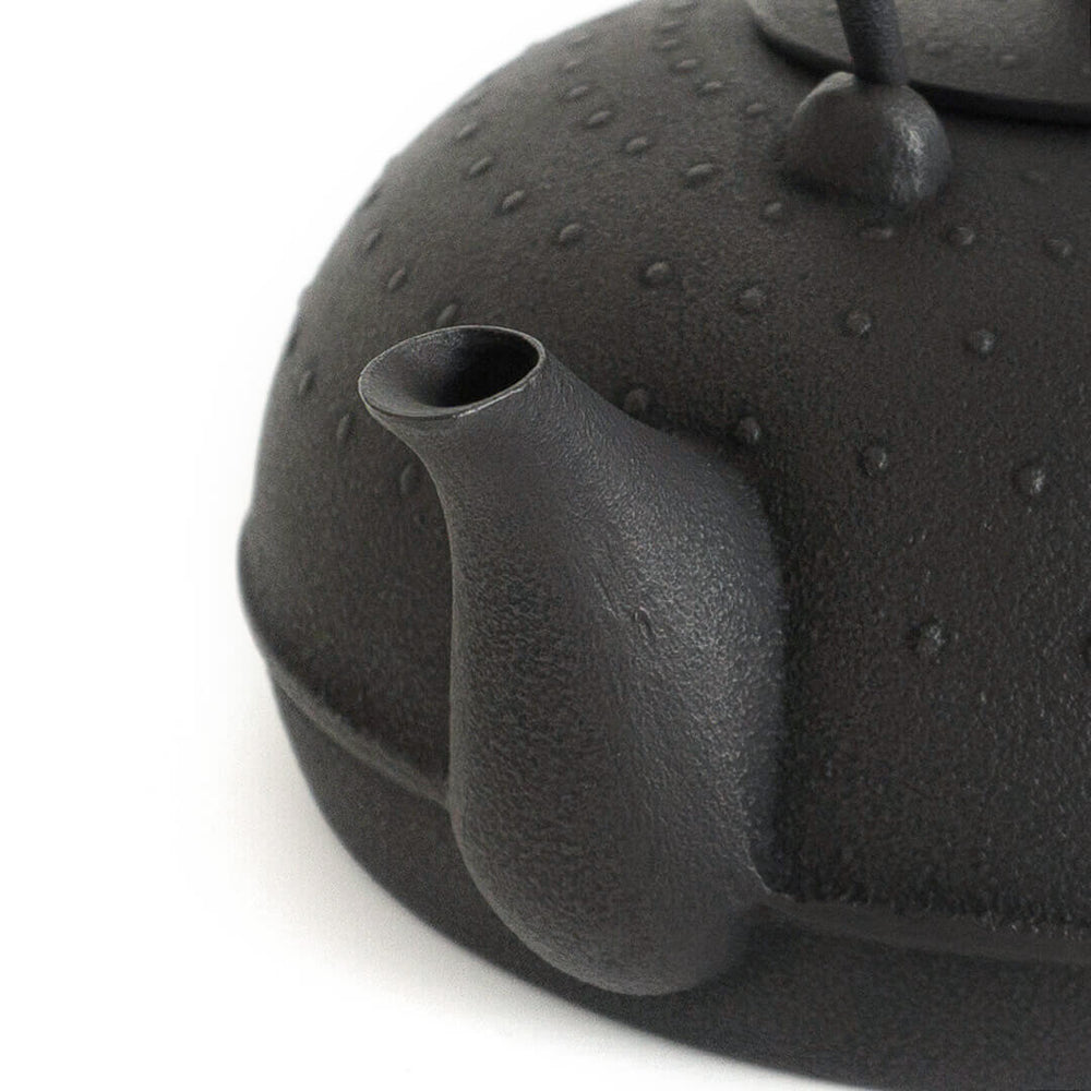 Kukan Chuzo /Sayu Cast Iron Kettle S – 雨晴/AMAHARE