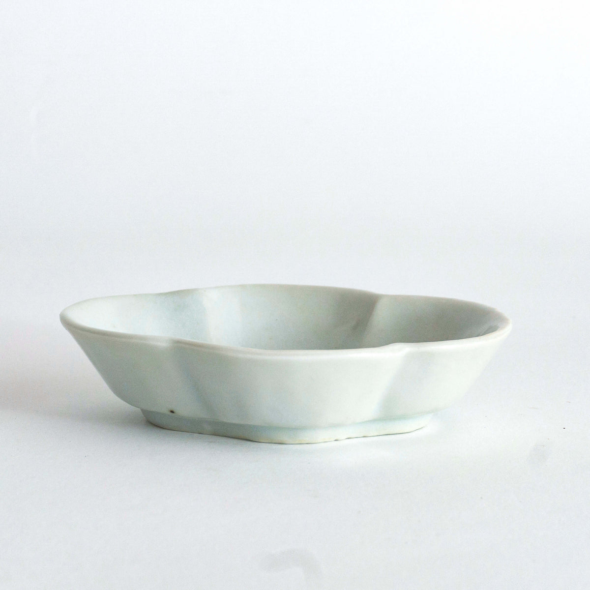 DSC04418_1200x.jpg?v=1751940973