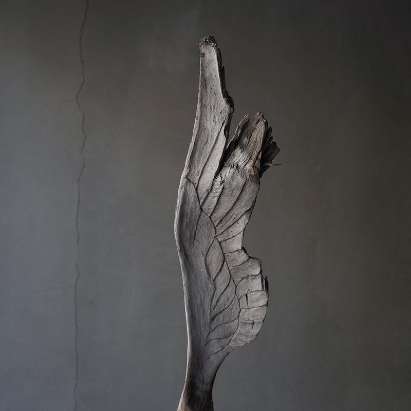 ●22-NM15 Norihisa Mizuta Wings of Driftwood