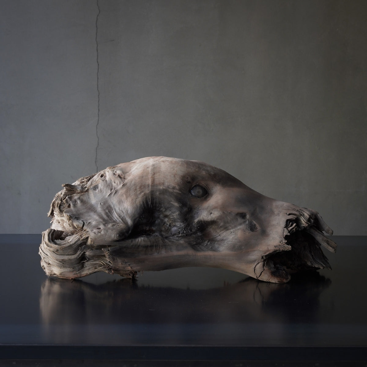 G02214_01_1200x.jpg?v=1751940342