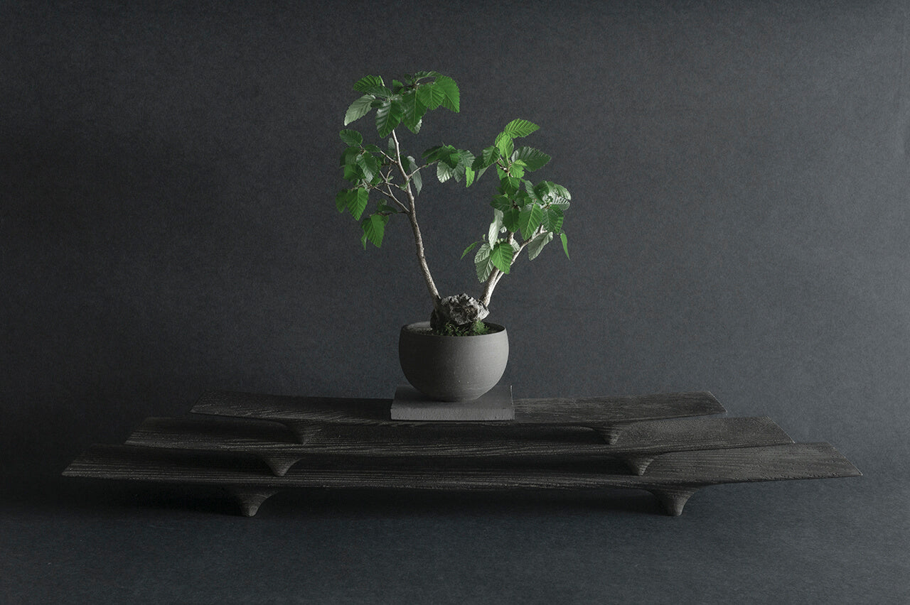 Fuyou KAZARIDAI 400 Black