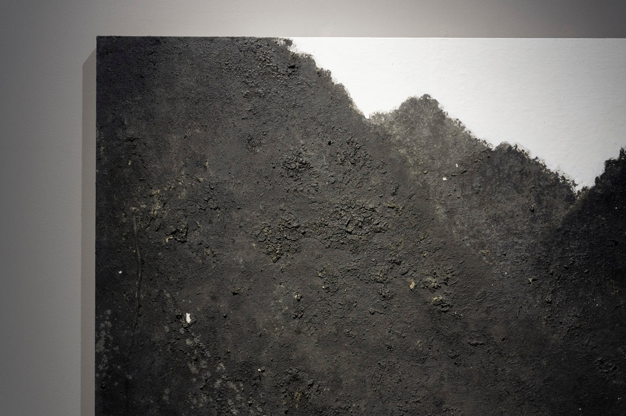 ハタノワタル　山 ハタノワタル 「山」50号 900×1150 42156142